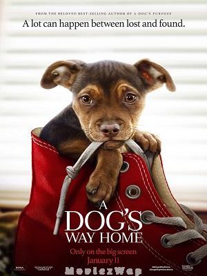 A Dogs Way Home (2019) Telugu Dubbed ORG