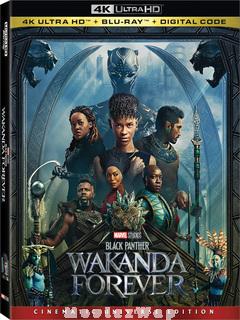 Black Panther: Wakanda Forever (2022) Telugu Dubbed