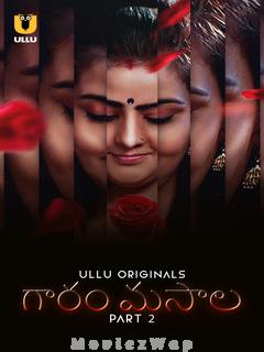 Garam Masala (2023) Telugu UNRATED Part 02