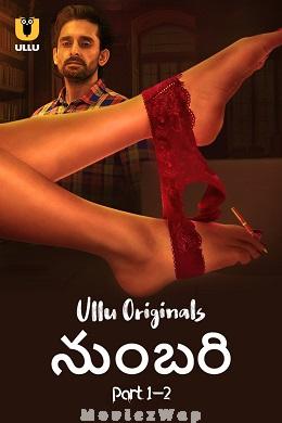 Numbari (2024) Telugu UNRATED Season 01