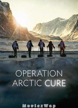 Operation Arctic Cure (2024) Telugu Dubbed ORG
