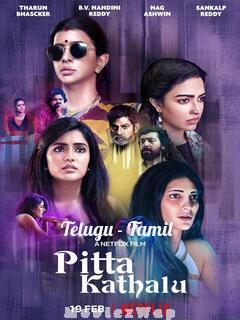 Pitta Kathalu (2021) Season 01 Telugu Tam Dual Audios